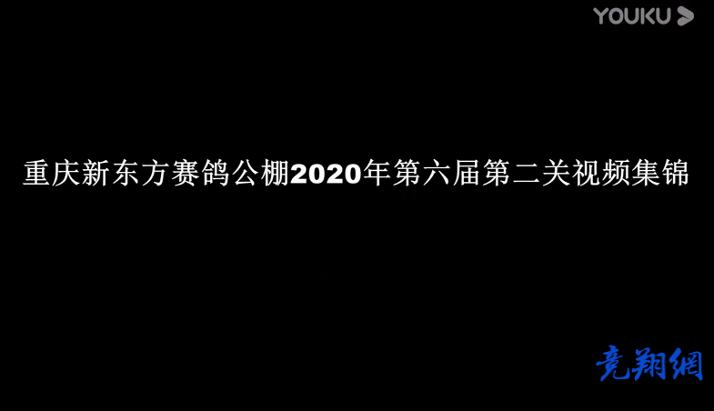 重庆新东方赛鸽公棚2020年第六届第二关视频集锦